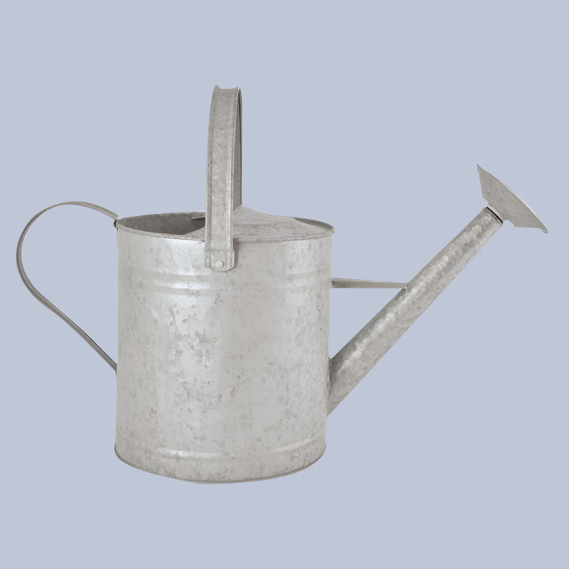 Metal watering can on a light gray background