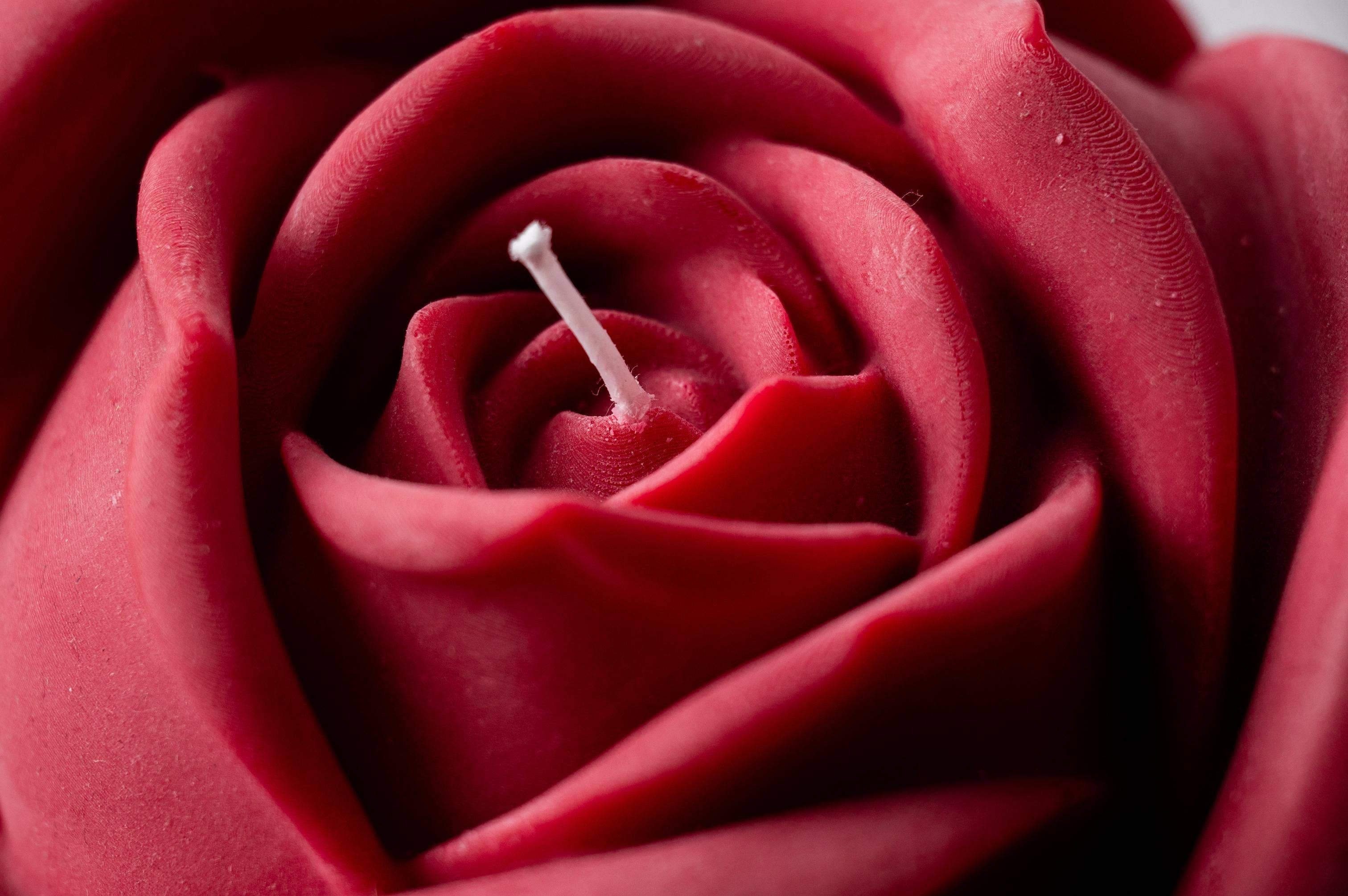Close-up of a red rose candle with wick in centre.