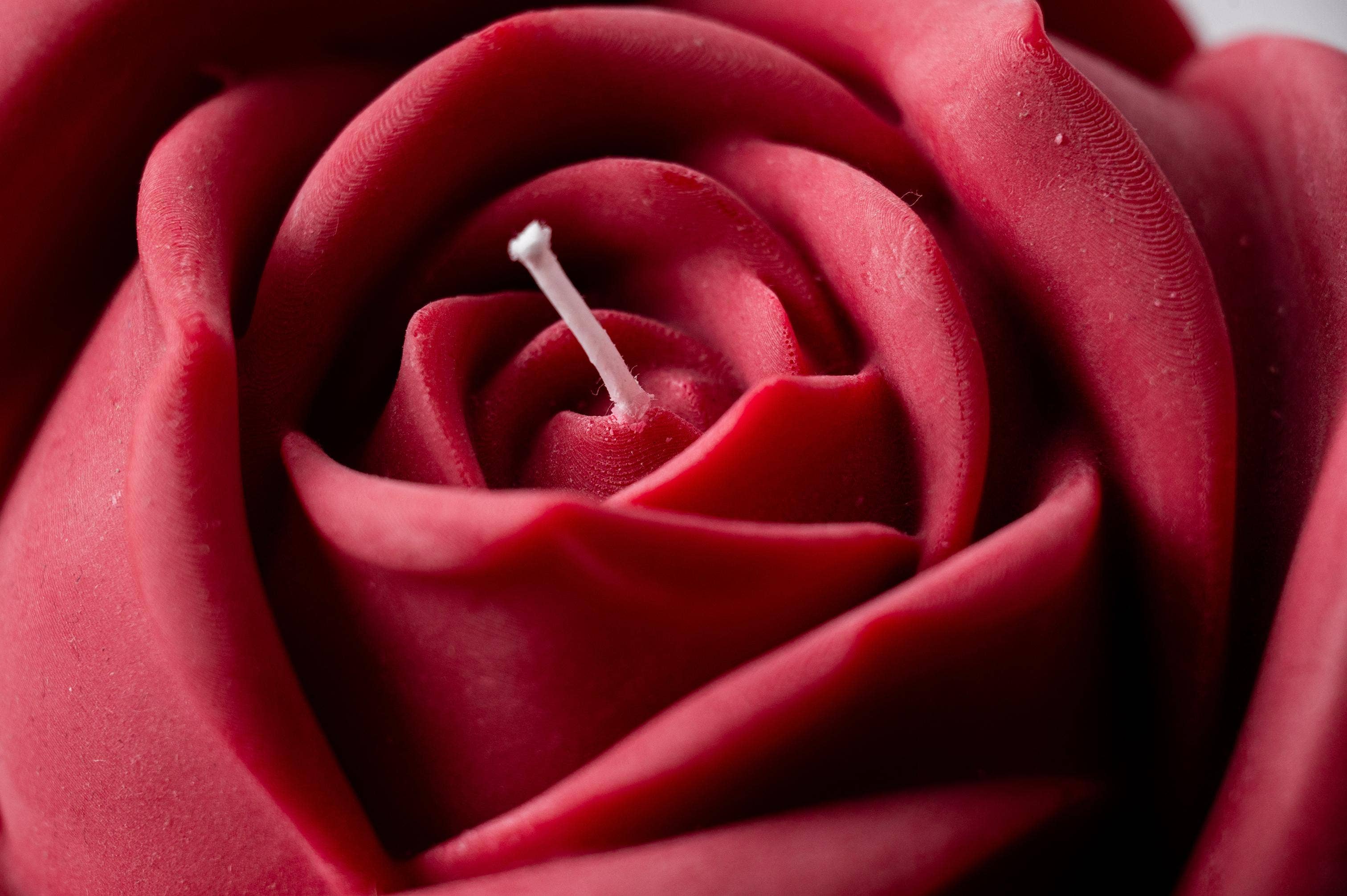 Close-up of a red rose candle with wick in centre.