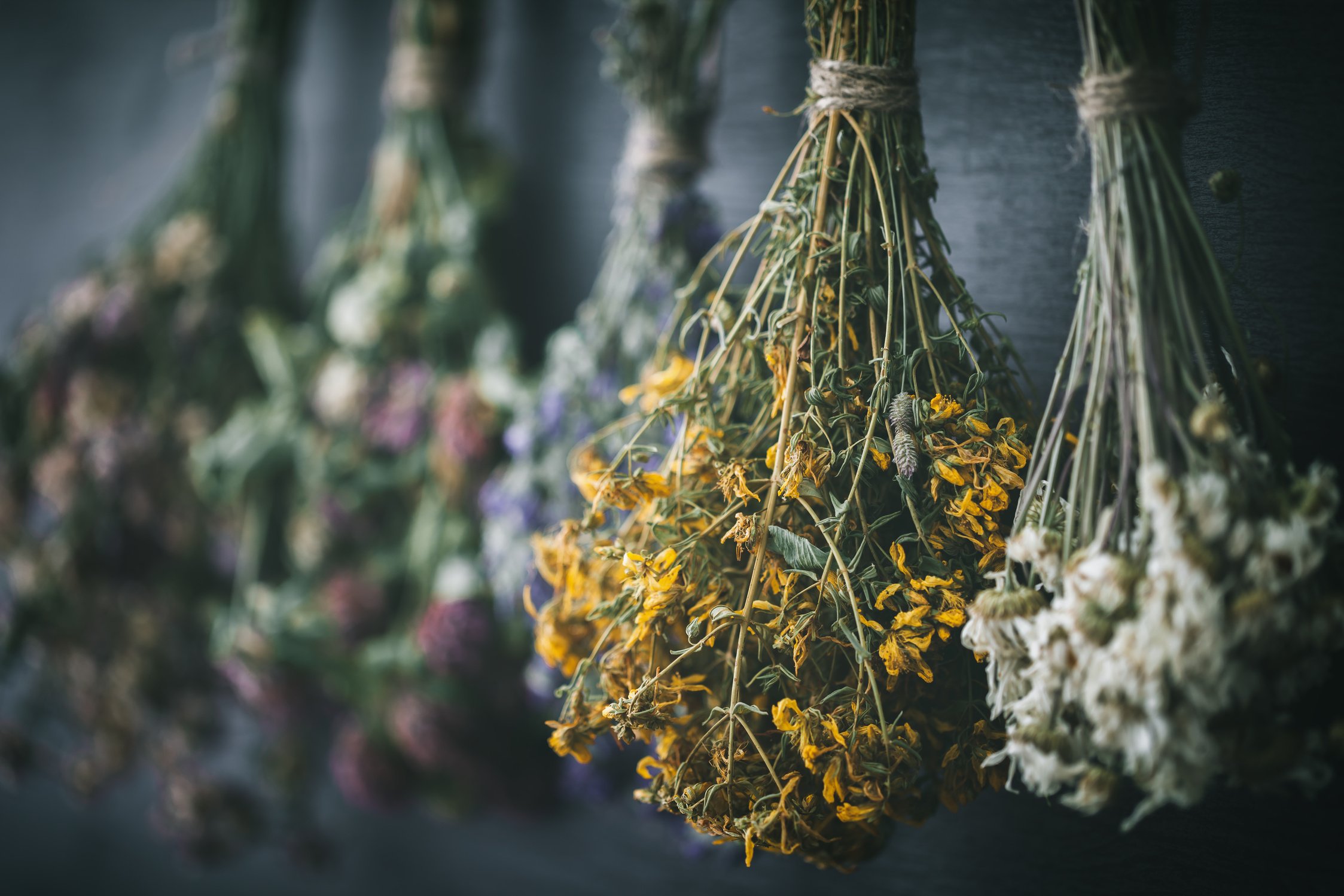 Hanging Baskets of Medicinal Herbs and Flowers